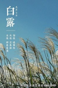 <b>露从今夜白，夜自此日凉！</b>